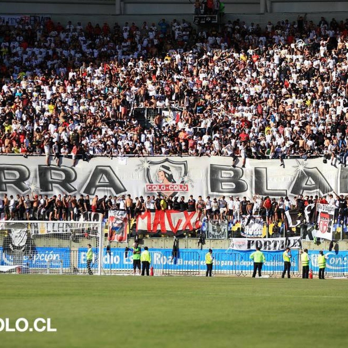 Colo Colo Vs U De Conce / Viviana Torres De Udec Es Una ...