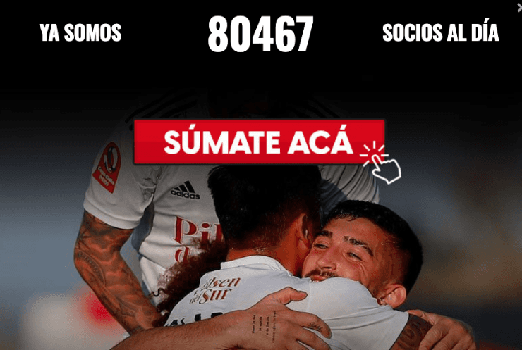 Socios de Colo Colo actualmente