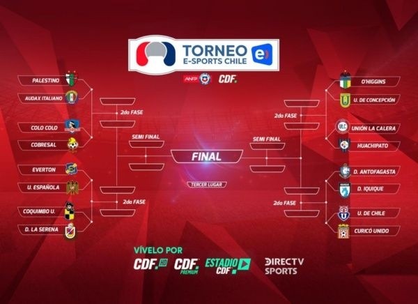 Cuadro Colo Colo Cuadro Colo Colo