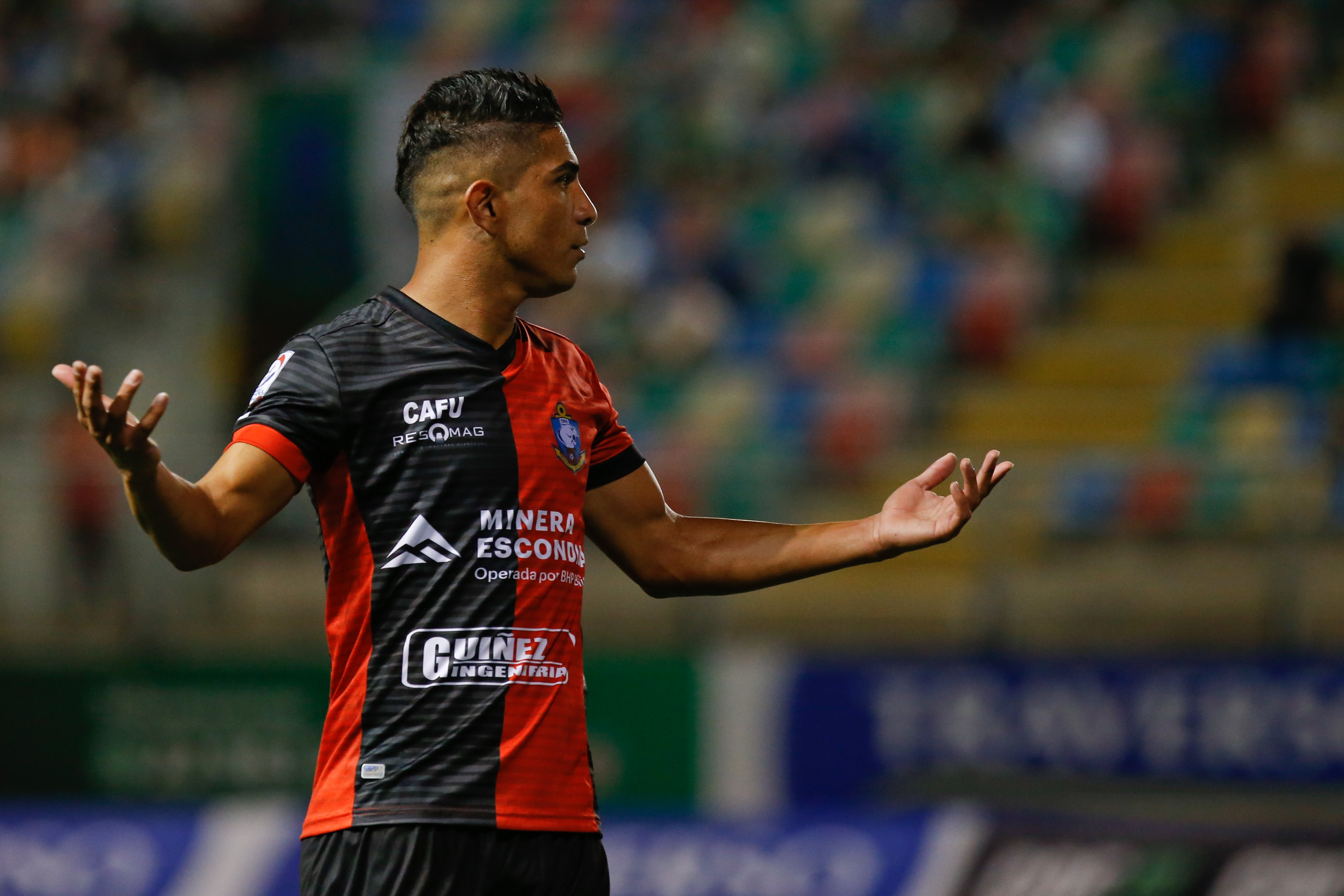 Felipe Flores Felipe Flores