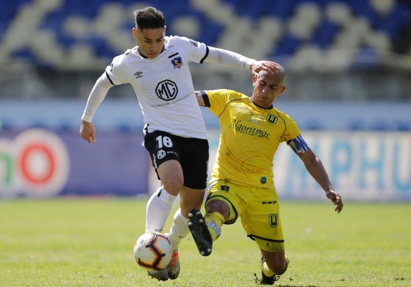 Opazo será alternativa en Colo Colo | Foto: Archivo
